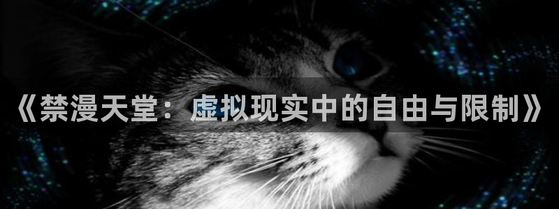 漫蛙最新防走失2024：《禁漫天堂：虚拟现实中的自由与限制》