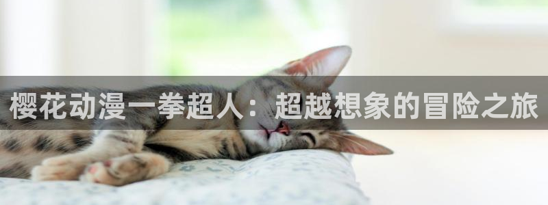 漫蛙2ios版本：樱花动漫一拳超人：超越想象的冒险之旅