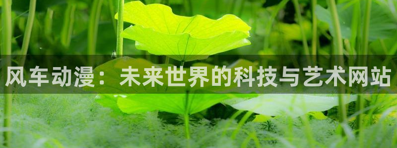 漫蛙漫画(网页入口)18：风车动漫：未来世界的科技与艺术网站