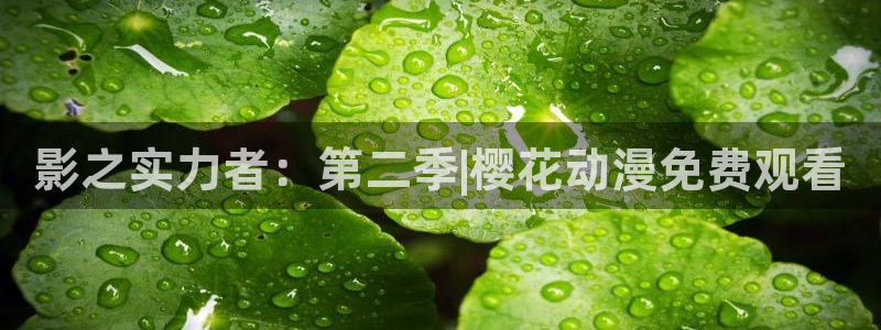 漫蛙2免费版app下载：影之实力者：第二季|樱花动漫免费观看