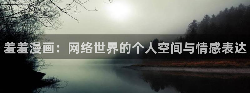 漫蛙2台版：羞羞漫画：网络世界的个人空间与情感表达