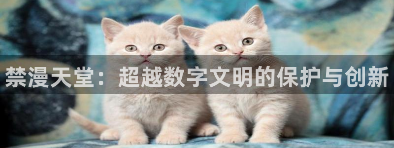 漫蛙v1.1.8安卓版：禁漫天堂：超越数字文明的保护与创新