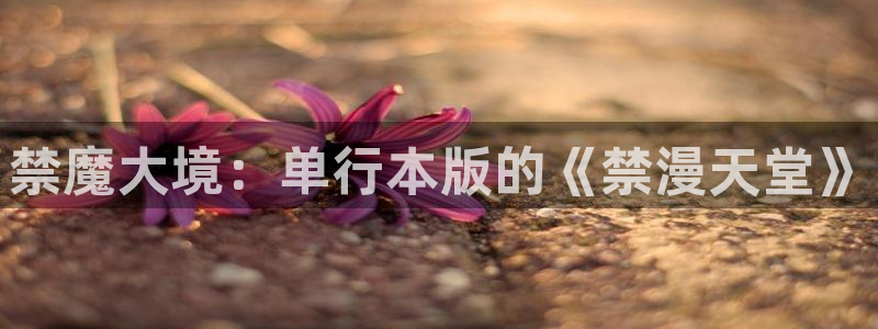 漫蛙2(这个绝对搜到)：禁魔大境：单行本版的《禁漫天堂》