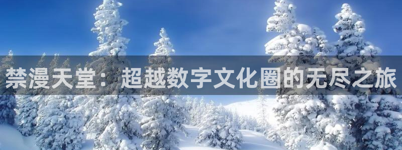 漫蛙纯净：禁漫天堂：超越数字文化圈的无尽之旅