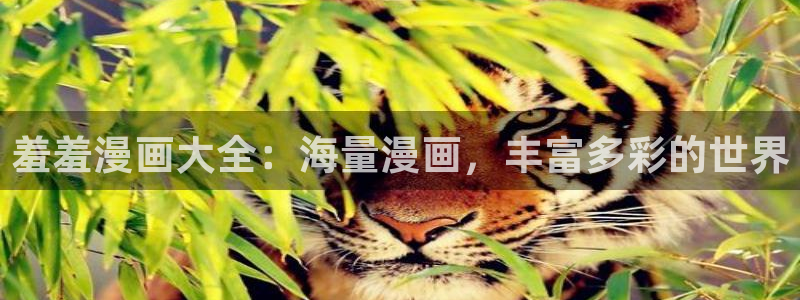 漫蛙manwaapp：羞羞漫画大全：海量漫画，丰富多彩的世界