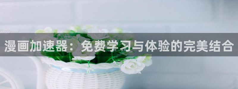蛙漫官网入口免费：漫画加速器：免费学习与体验的完美结合