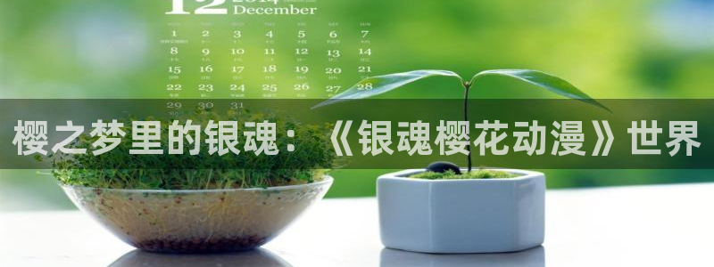 蛙漫2官网：樱之梦里的银魂：《银魂樱花动漫》世界